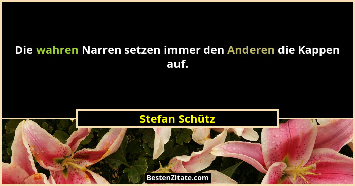 Die wahren Narren setzen immer den Anderen die Kappen auf.... - Stefan Schütz