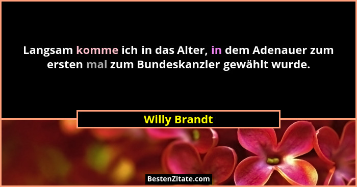 Langsam komme ich in das Alter, in dem Adenauer zum ersten mal zum Bundeskanzler gewählt wurde.... - Willy Brandt