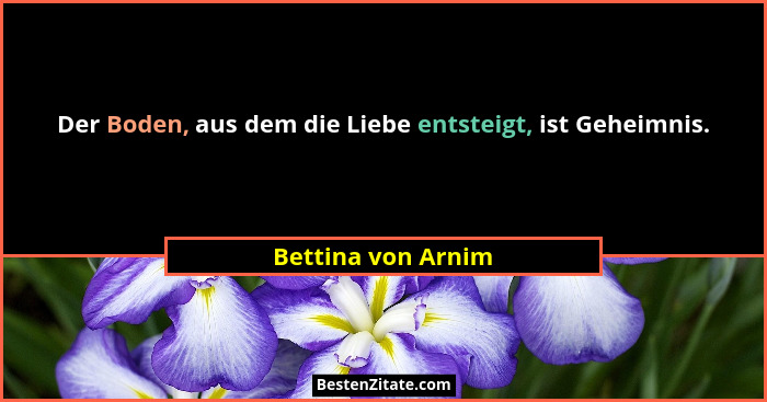 Der Boden, aus dem die Liebe entsteigt, ist Geheimnis.... - Bettina von Arnim