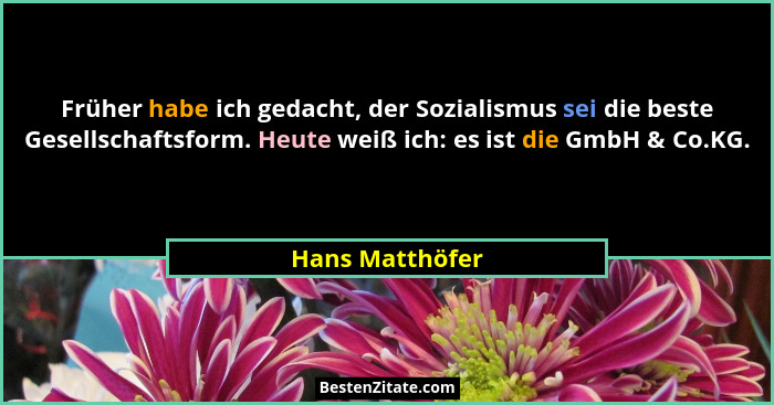 Früher habe ich gedacht, der Sozialismus sei die beste Gesellschaftsform. Heute weiß ich: es ist die GmbH & Co.KG.... - Hans Matthöfer