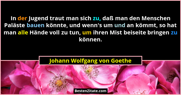 In der Jugend traut man sich zu, daß man den Menschen Paläste bauen könnte, und wenn's um und an kömmt, so hat man al... - Johann Wolfgang von Goethe