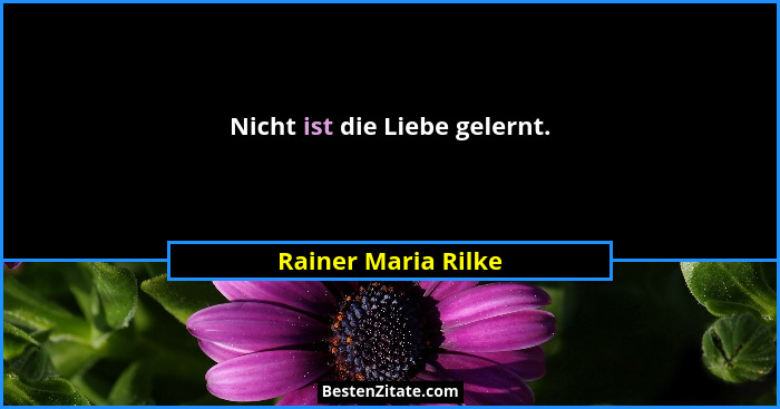 Nicht ist die Liebe gelernt.... - Rainer Maria Rilke