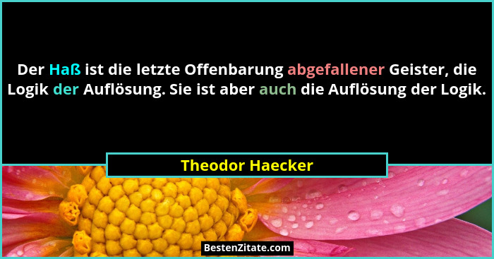 Der Haß ist die letzte Offenbarung abgefallener Geister, die Logik der Auflösung. Sie ist aber auch die Auflösung der Logik.... - Theodor Haecker