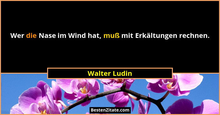 Wer die Nase im Wind hat, muß mit Erkältungen rechnen.... - Walter Ludin