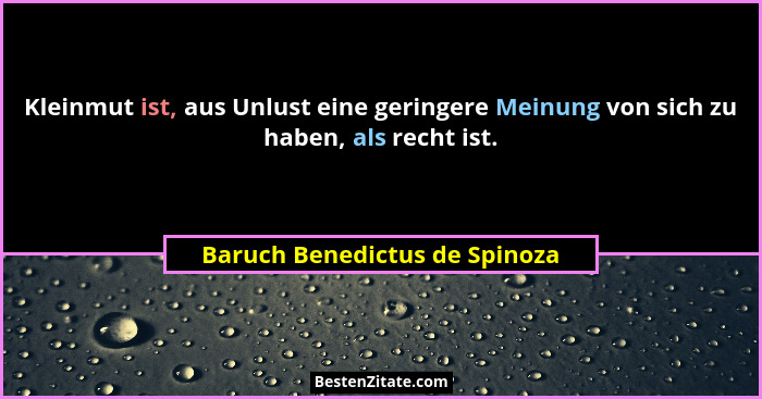 Kleinmut ist, aus Unlust eine geringere Meinung von sich zu haben, als recht ist.... - Baruch Benedictus de Spinoza