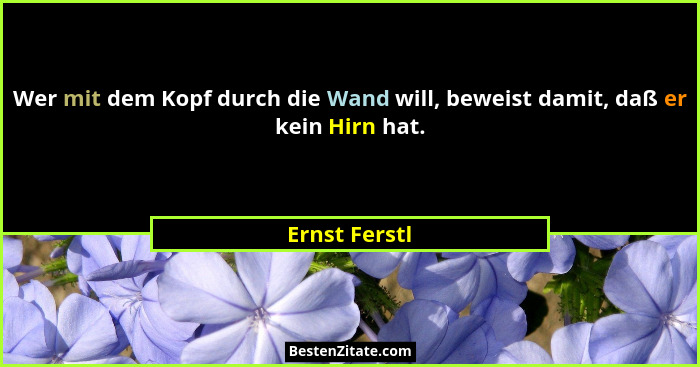 Wer mit dem Kopf durch die Wand will, beweist damit, daß er kein Hirn hat.... - Ernst Ferstl