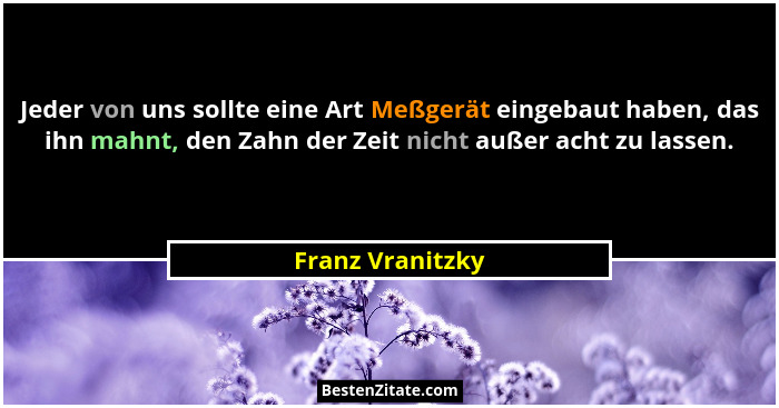 Jeder von uns sollte eine Art Meßgerät eingebaut haben, das ihn mahnt, den Zahn der Zeit nicht außer acht zu lassen.... - Franz Vranitzky