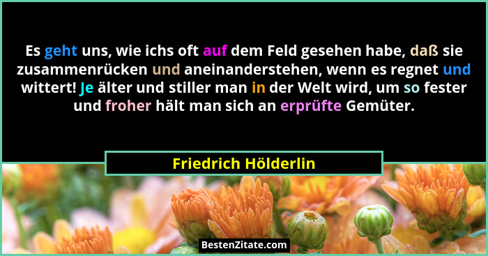 Es geht uns, wie ichs oft auf dem Feld gesehen habe, daß sie zusammenrücken und aneinanderstehen, wenn es regnet und wittert! Je... - Friedrich Hölderlin