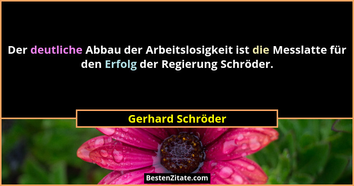 Der deutliche Abbau der Arbeitslosigkeit ist die Messlatte für den Erfolg der Regierung Schröder.... - Gerhard Schröder