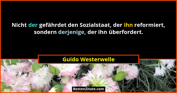 Nicht der gefährdet den Sozialstaat, der ihn reformiert, sondern derjenige, der ihn überfordert.... - Guido Westerwelle