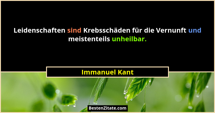 Leidenschaften sind Krebsschäden für die Vernunft und meistenteils unheilbar.... - Immanuel Kant
