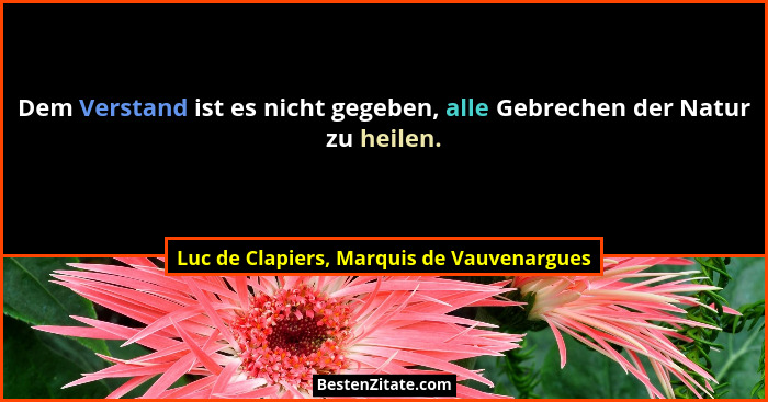Dem Verstand ist es nicht gegeben, alle Gebrechen der Natur zu heilen.... - Luc de Clapiers, Marquis de Vauvenargues