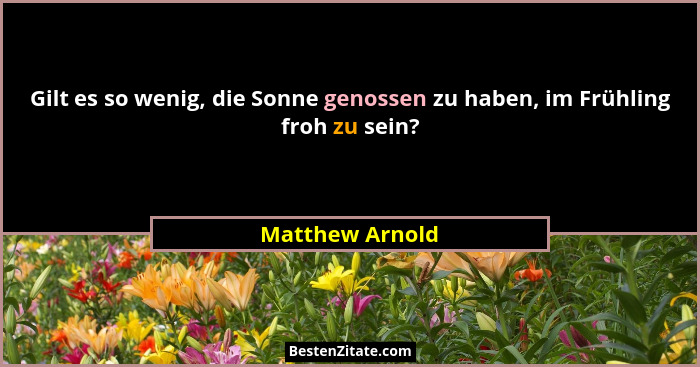 Gilt es so wenig, die Sonne genossen zu haben, im Frühling froh zu sein?... - Matthew Arnold