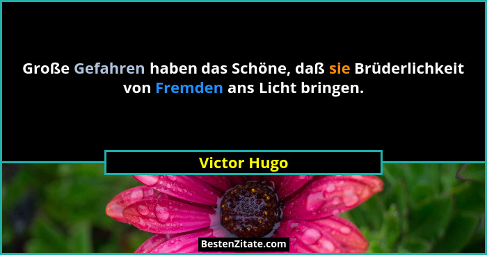 Große Gefahren haben das Schöne, daß sie Brüderlichkeit von Fremden ans Licht bringen.... - Victor Hugo