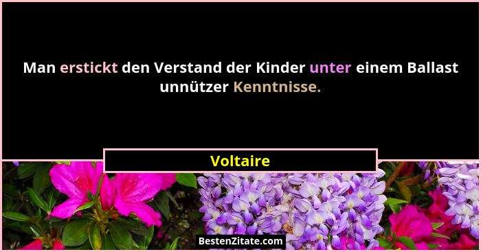 Man erstickt den Verstand der Kinder unter einem Ballast unnützer Kenntnisse.... - Voltaire