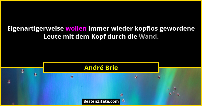 Eigenartigerweise wollen immer wieder kopflos gewordene Leute mit dem Kopf durch die Wand.... - André Brie