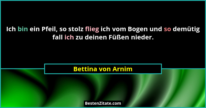 Ich bin ein Pfeil, so stolz flieg ich vom Bogen und so demütig fall ich zu deinen Füßen nieder.... - Bettina von Arnim