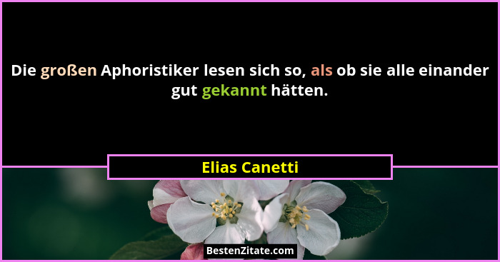 Die großen Aphoristiker lesen sich so, als ob sie alle einander gut gekannt hätten.... - Elias Canetti