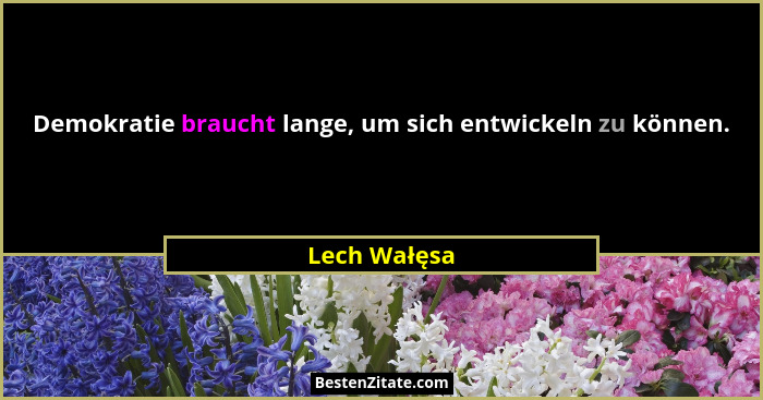 Demokratie braucht lange, um sich entwickeln zu können.... - Lech Wałęsa