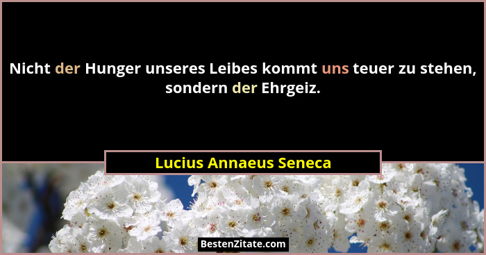 Nicht der Hunger unseres Leibes kommt uns teuer zu stehen, sondern der Ehrgeiz.... - Lucius Annaeus Seneca