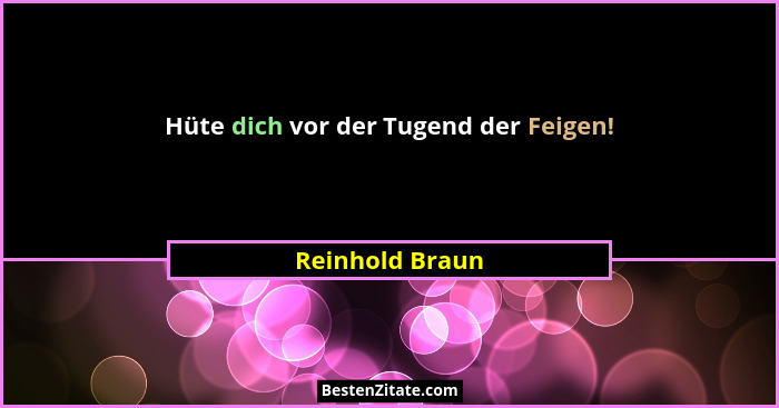 Hüte dich vor der Tugend der Feigen!... - Reinhold Braun