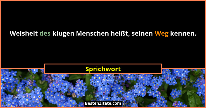 Weisheit des klugen Menschen heißt, seinen Weg kennen.... - Sprichwort