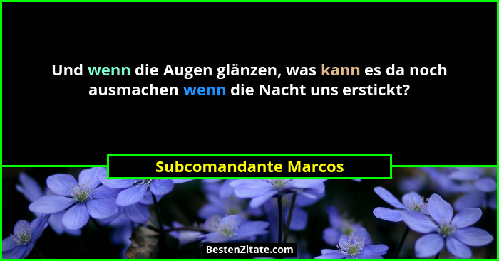 Und wenn die Augen glänzen, was kann es da noch ausmachen wenn die Nacht uns erstickt?... - Subcomandante Marcos