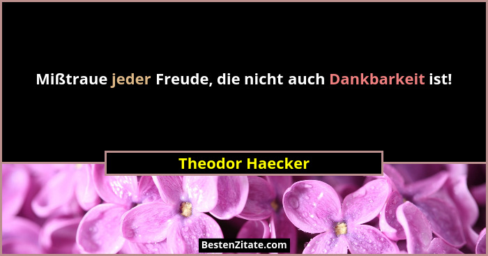 Mißtraue jeder Freude, die nicht auch Dankbarkeit ist!... - Theodor Haecker