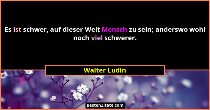 Es ist schwer, auf dieser Welt Mensch zu sein; anderswo wohl noch viel schwerer.... - Walter Ludin