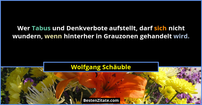Wer Tabus und Denkverbote aufstellt, darf sich nicht wundern, wenn hinterher in Grauzonen gehandelt wird.... - Wolfgang Schäuble