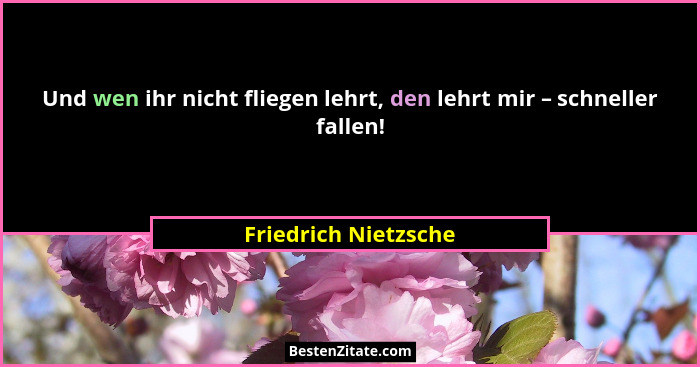 Und wen ihr nicht fliegen lehrt, den lehrt mir – schneller fallen!... - Friedrich Nietzsche