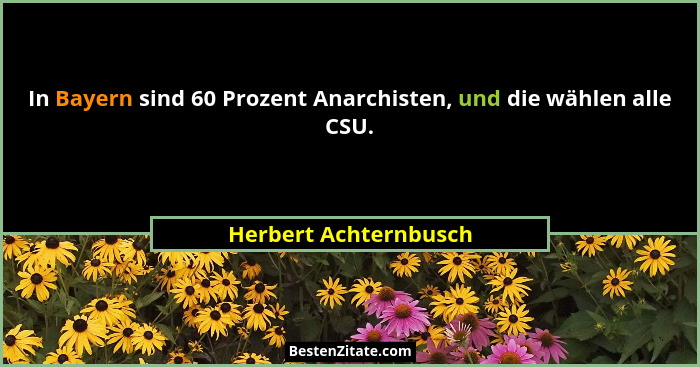 In Bayern sind 60 Prozent Anarchisten, und die wählen alle CSU.... - Herbert Achternbusch