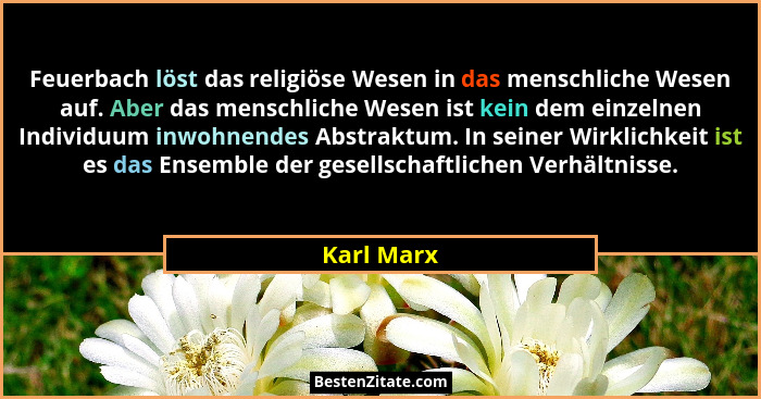 Feuerbach löst das religiöse Wesen in das menschliche Wesen auf. Aber das menschliche Wesen ist kein dem einzelnen Individuum inwohnendes... - Karl Marx
