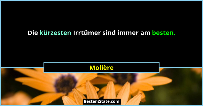 Die kürzesten Irrtümer sind immer am besten.... - Molière