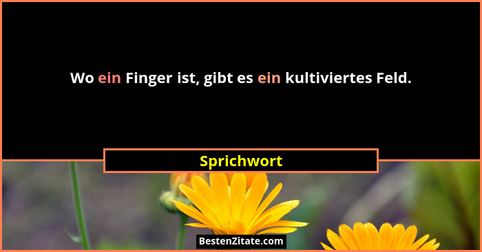 Wo ein Finger ist, gibt es ein kultiviertes Feld.... - Sprichwort