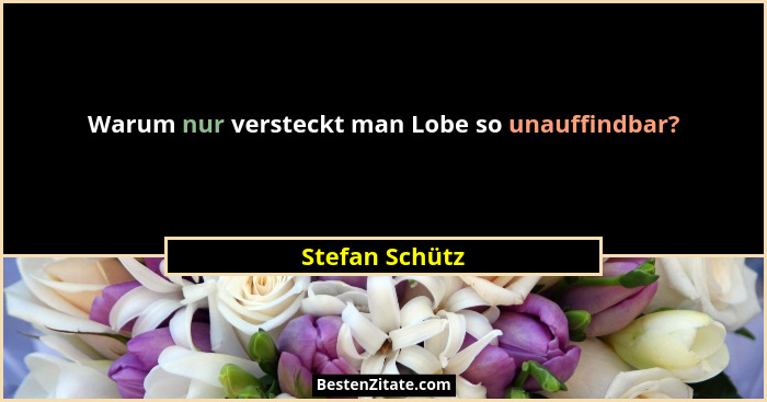 Warum nur versteckt man Lobe so unauffindbar?... - Stefan Schütz