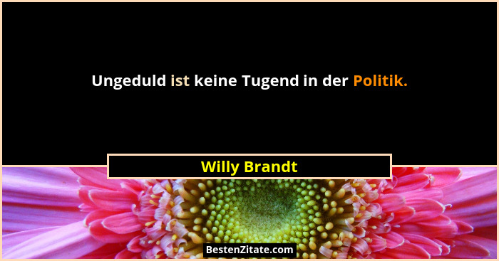 Ungeduld ist keine Tugend in der Politik.... - Willy Brandt