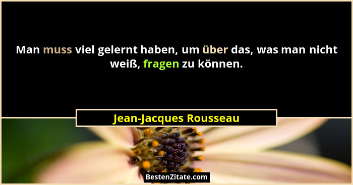 Man muss viel gelernt haben, um über das, was man nicht weiß, fragen zu können.... - Jean-Jacques Rousseau