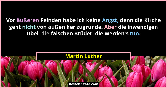 Vor äußeren Feinden habe ich keine Angst, denn die Kirche geht nicht von außen her zugrunde. Aber die inwendigen Übel, die falschen Br... - Martin Luther