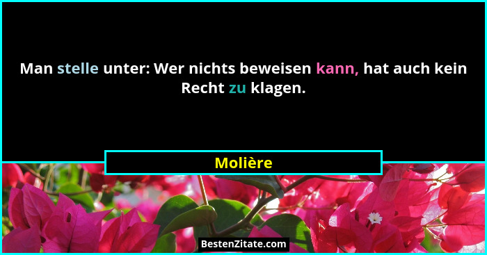 Man stelle unter: Wer nichts beweisen kann, hat auch kein Recht zu klagen.... - Molière