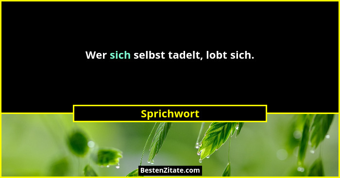 Wer sich selbst tadelt, lobt sich.... - Sprichwort