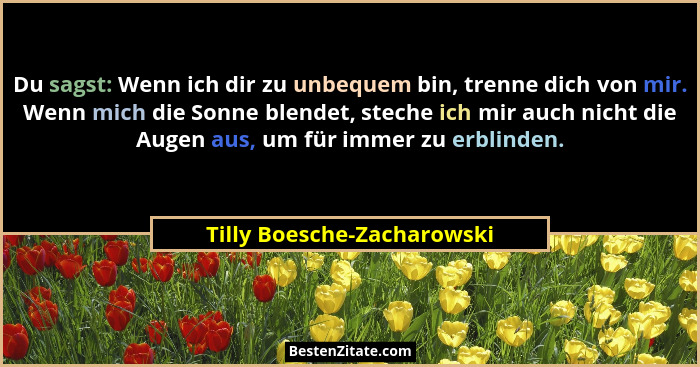 Du sagst: Wenn ich dir zu unbequem bin, trenne dich von mir. Wenn mich die Sonne blendet, steche ich mir auch nicht die Au... - Tilly Boesche-Zacharowski