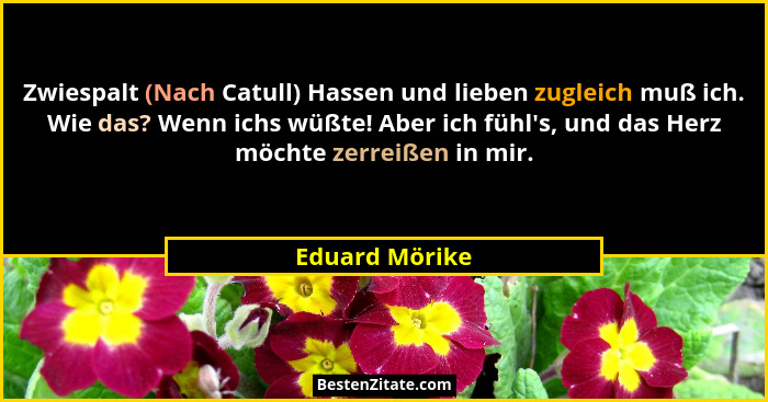 Zwiespalt (Nach Catull) Hassen und lieben zugleich muß ich. Wie das? Wenn ichs wüßte! Aber ich fühl's, und das Herz möchte zerreiß... - Eduard Mörike