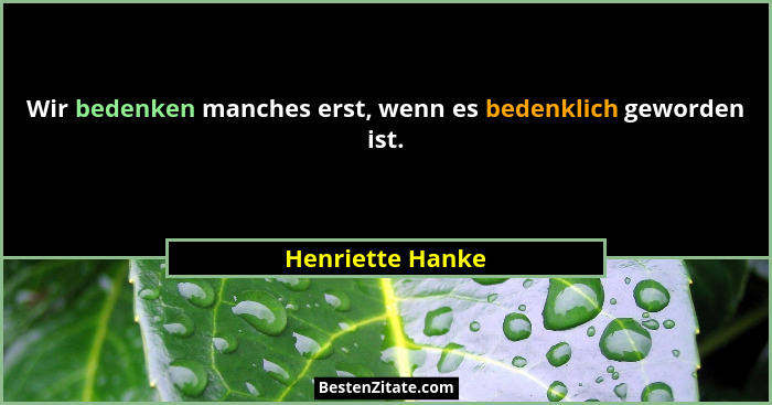 Wir bedenken manches erst, wenn es bedenklich geworden ist.... - Henriette Hanke