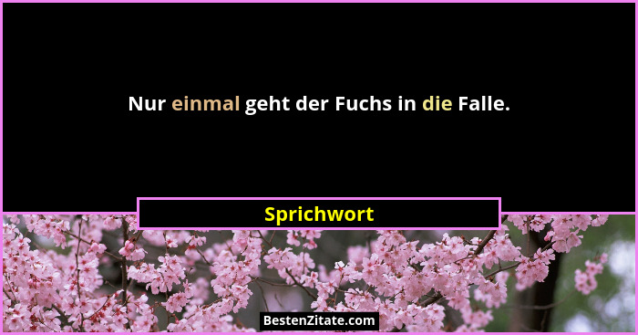 Nur einmal geht der Fuchs in die Falle.... - Sprichwort