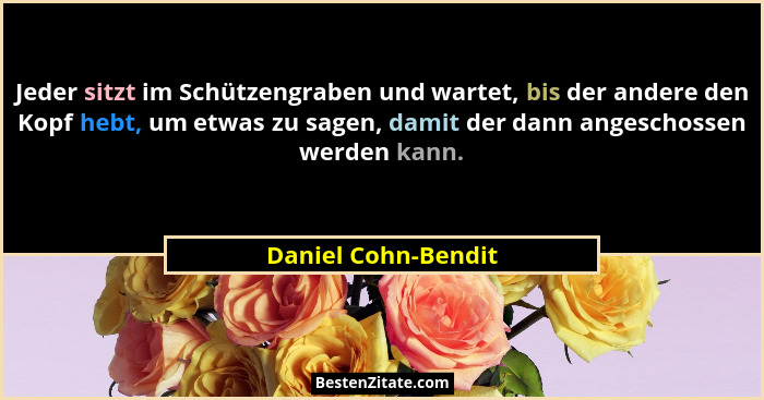 Jeder sitzt im Schützengraben und wartet, bis der andere den Kopf hebt, um etwas zu sagen, damit der dann angeschossen werden kan... - Daniel Cohn-Bendit