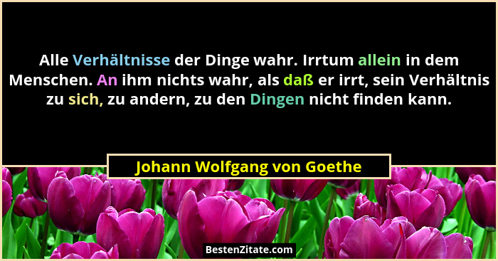 Alle Verhältnisse der Dinge wahr. Irrtum allein in dem Menschen. An ihm nichts wahr, als daß er irrt, sein Verhältnis zu... - Johann Wolfgang von Goethe