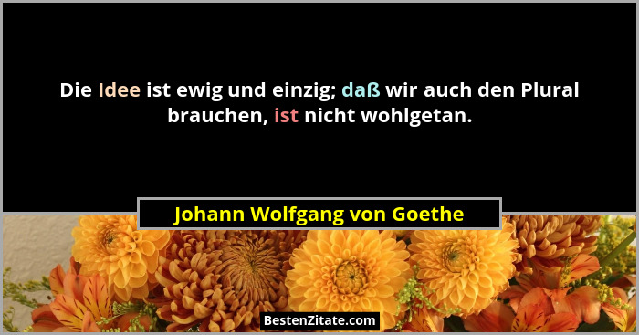 Die Idee ist ewig und einzig; daß wir auch den Plural brauchen, ist nicht wohlgetan.... - Johann Wolfgang von Goethe