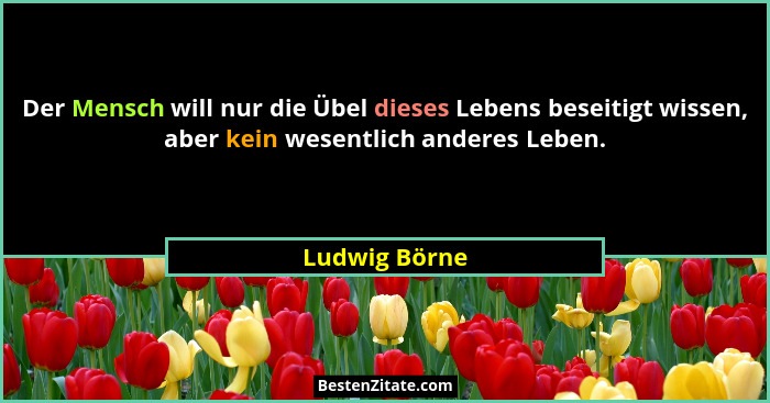 Der Mensch will nur die Übel dieses Lebens beseitigt wissen, aber kein wesentlich anderes Leben.... - Ludwig Börne