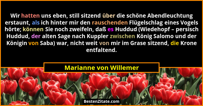 Wir hatten uns eben, still sitzend über die schöne Abendleuchtung erstaunt, als ich hinter mir den rauschenden Flügelschlag ei... - Marianne von Willemer